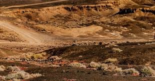 记者：海港对奥斯卡健康状况高度关切，通过多种方式表达慰问